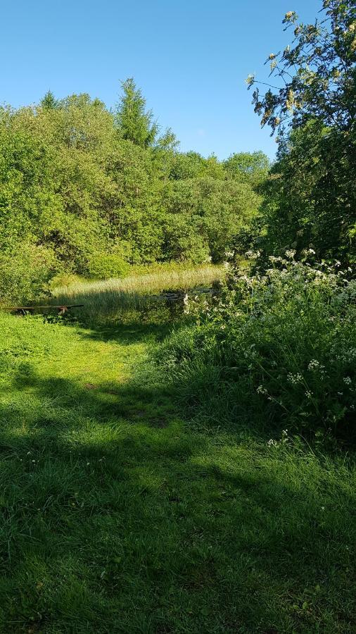 Basic Ingerichte Vouwwagen Op Camping Westenenk, Wijster Extérieur photo
